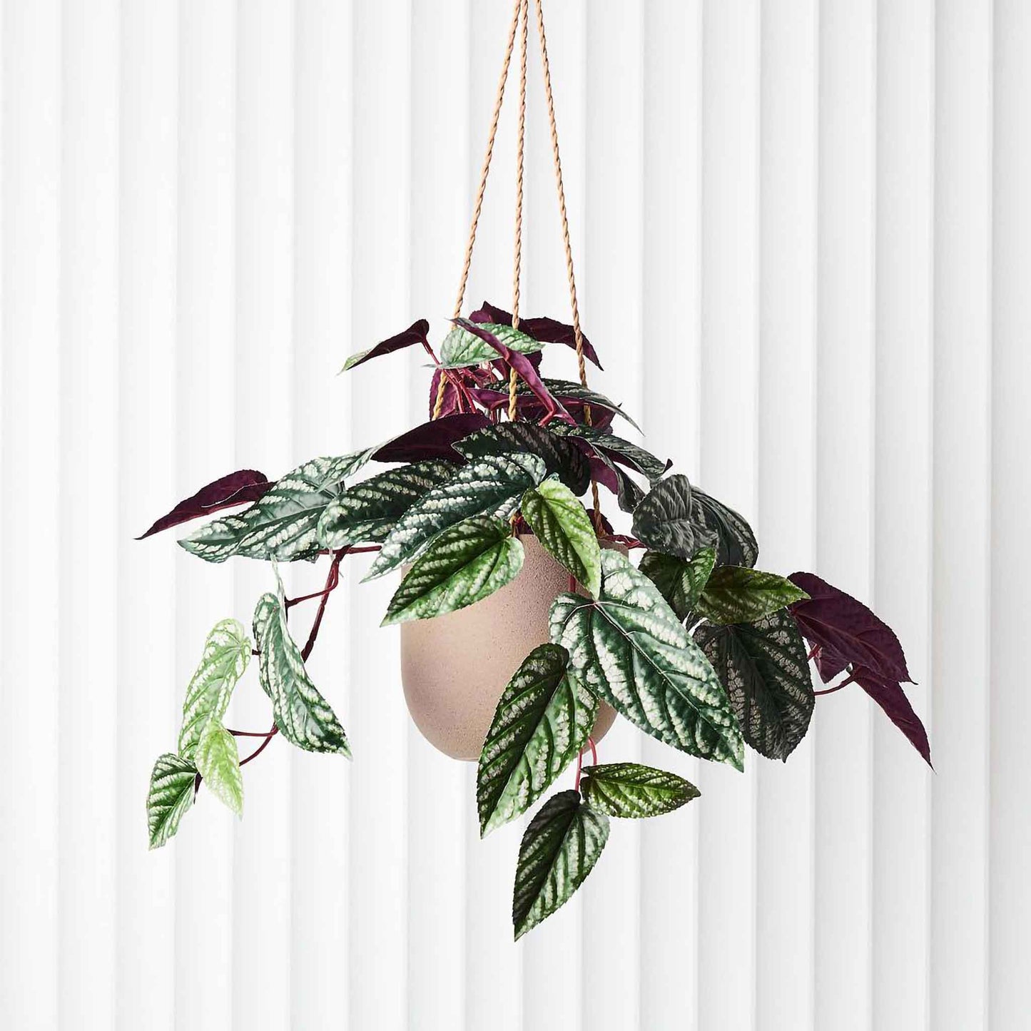 Flo Hanging Pot | Taupe